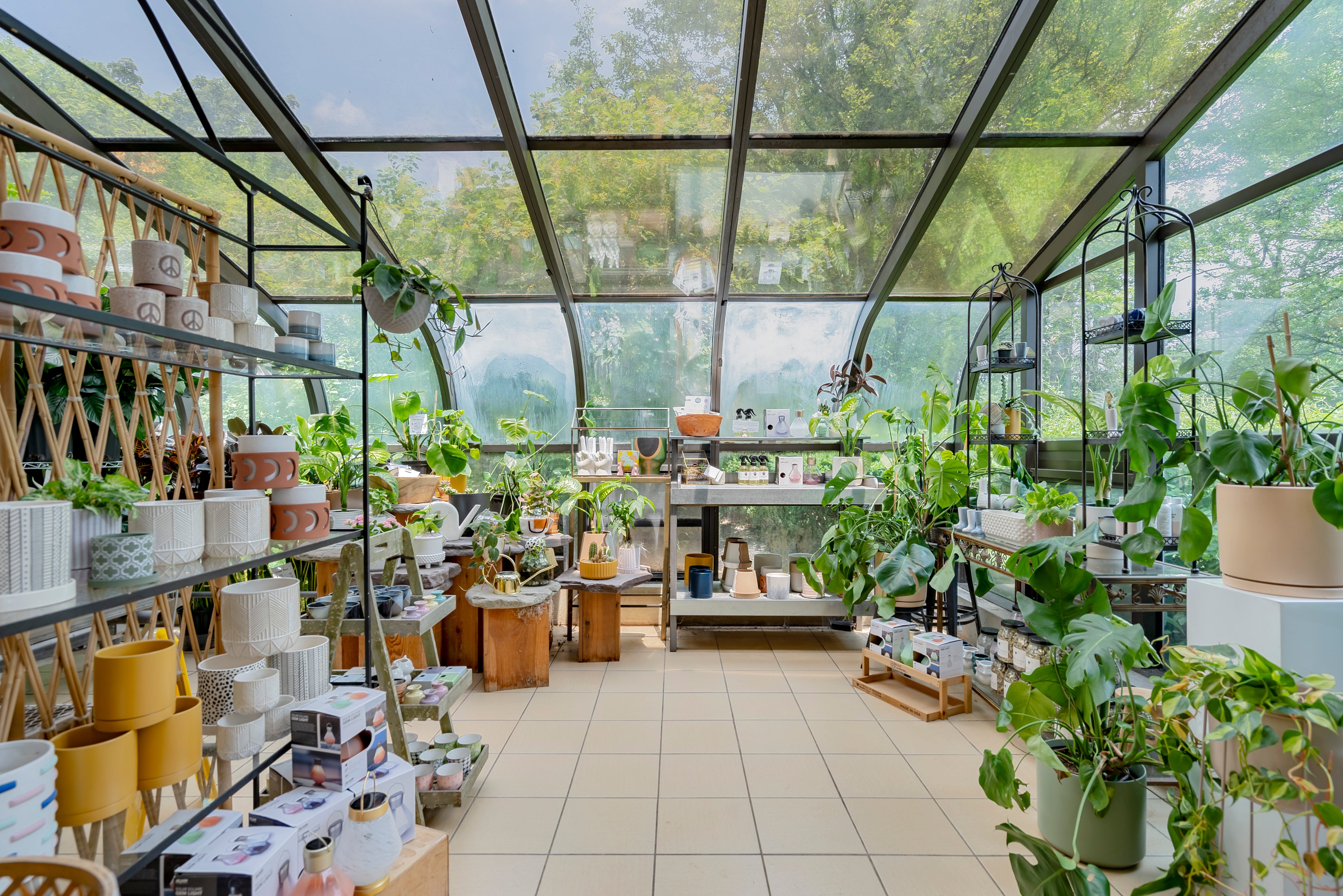 Interior of a greenhouse with plants and gardening supplies