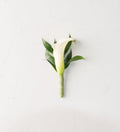 Calla Lily Boutonniere - Bartz Viviano