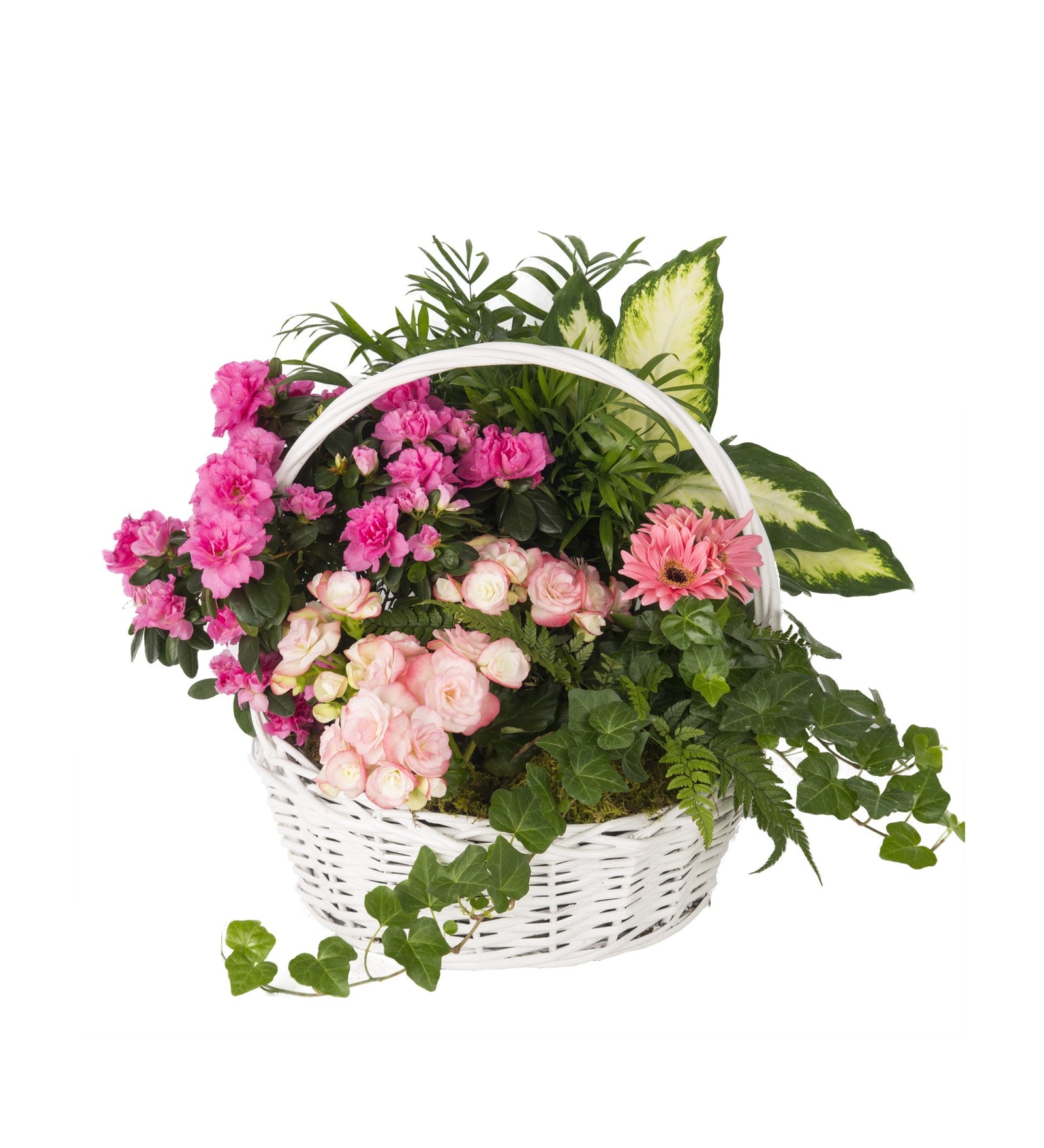 Classic Blooming Garden - Bartz Viviano