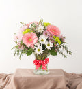 Daisy - Bartz Viviano