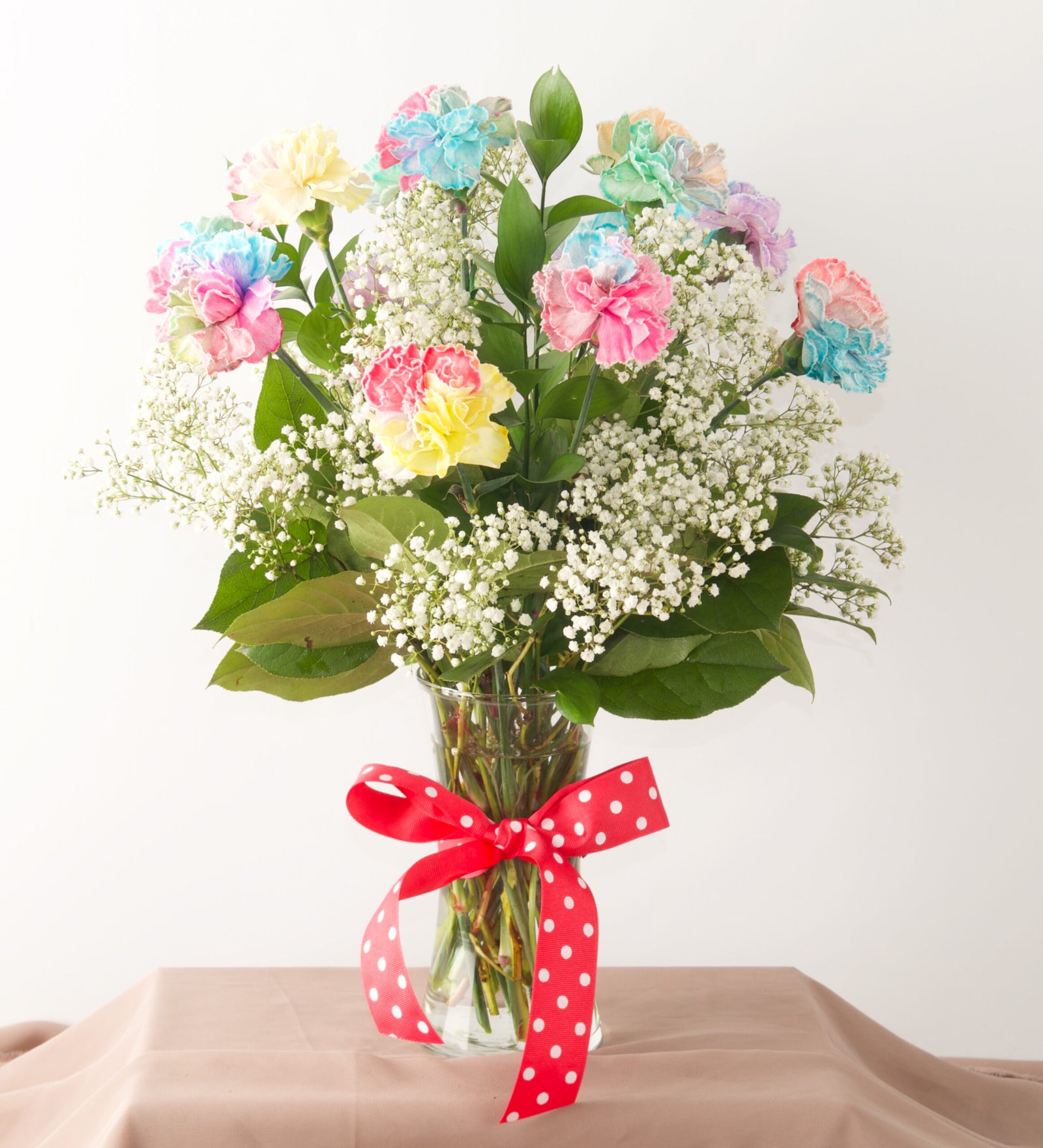 Rainbow Carnations - Bartz Viviano