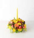 Thanksgiving Special - Bartz Viviano