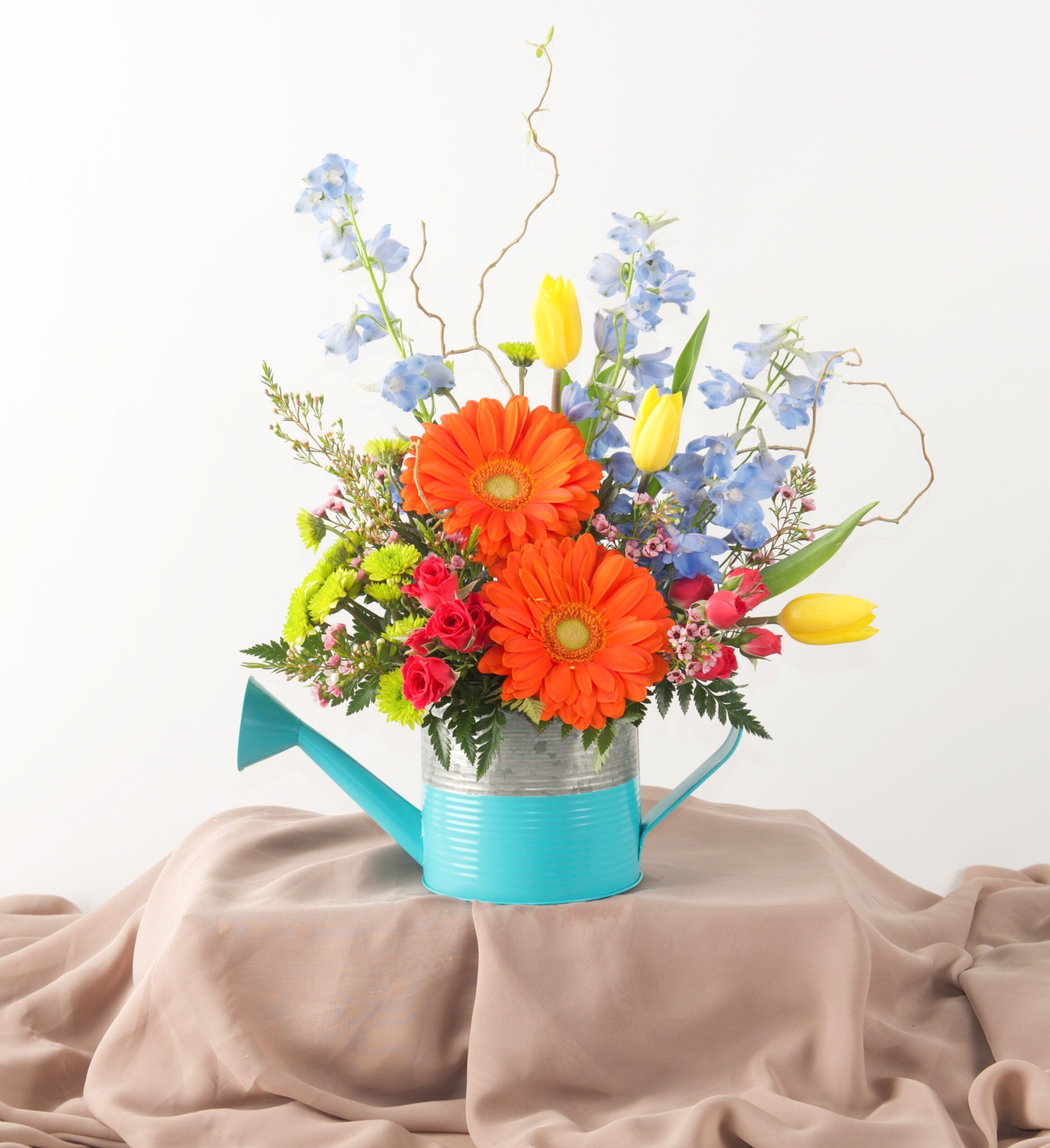 Gertie - Bartz Viviano