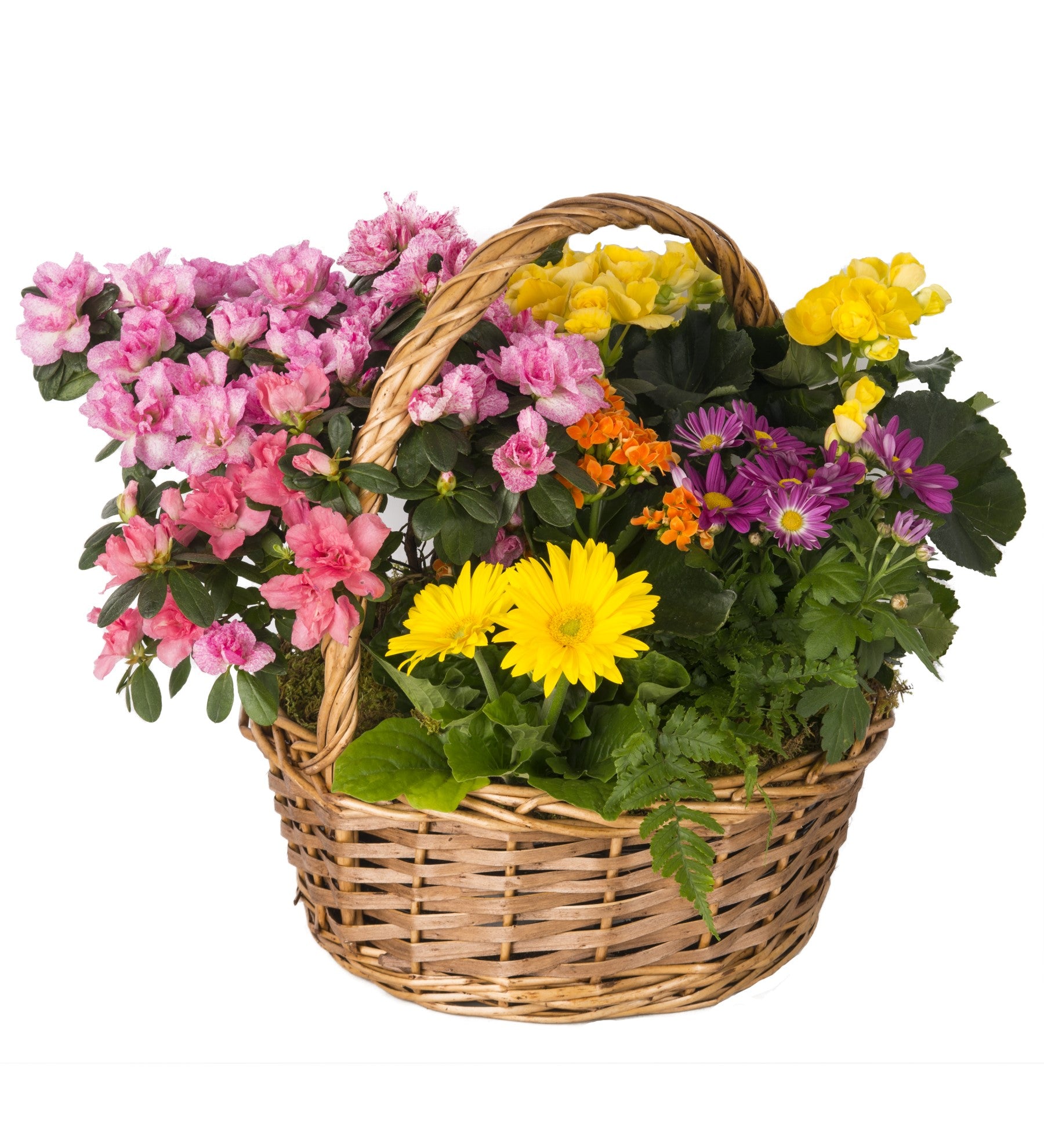 Heavenly Garden Planter - Bartz Viviano
