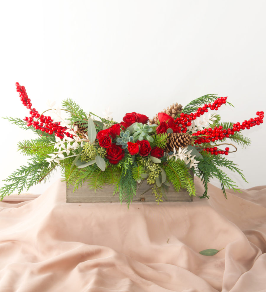 Winter Succulent - Bartz Viviano