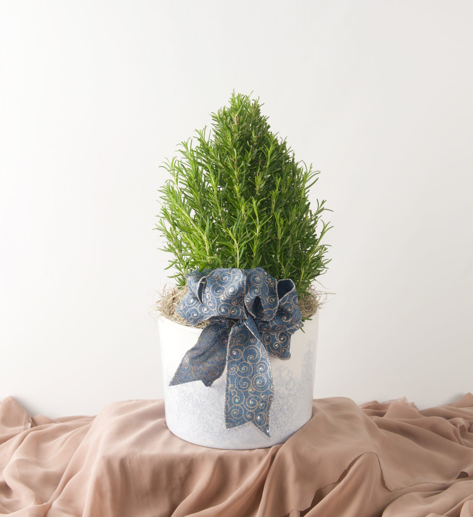 Rosemary Tree - Bartz Viviano