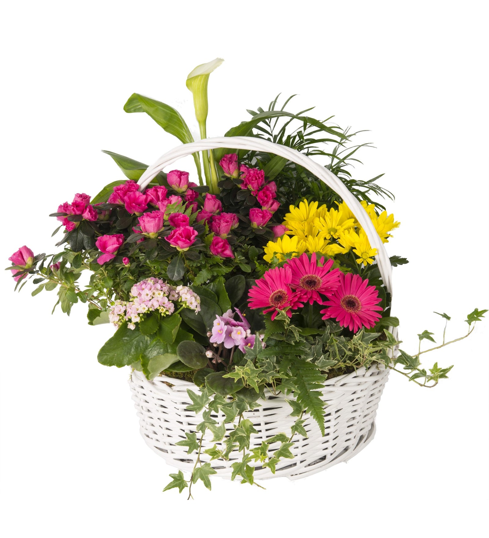 Loving Grace Garden - Bartz Viviano