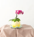 Tea Time - Bartz Viviano