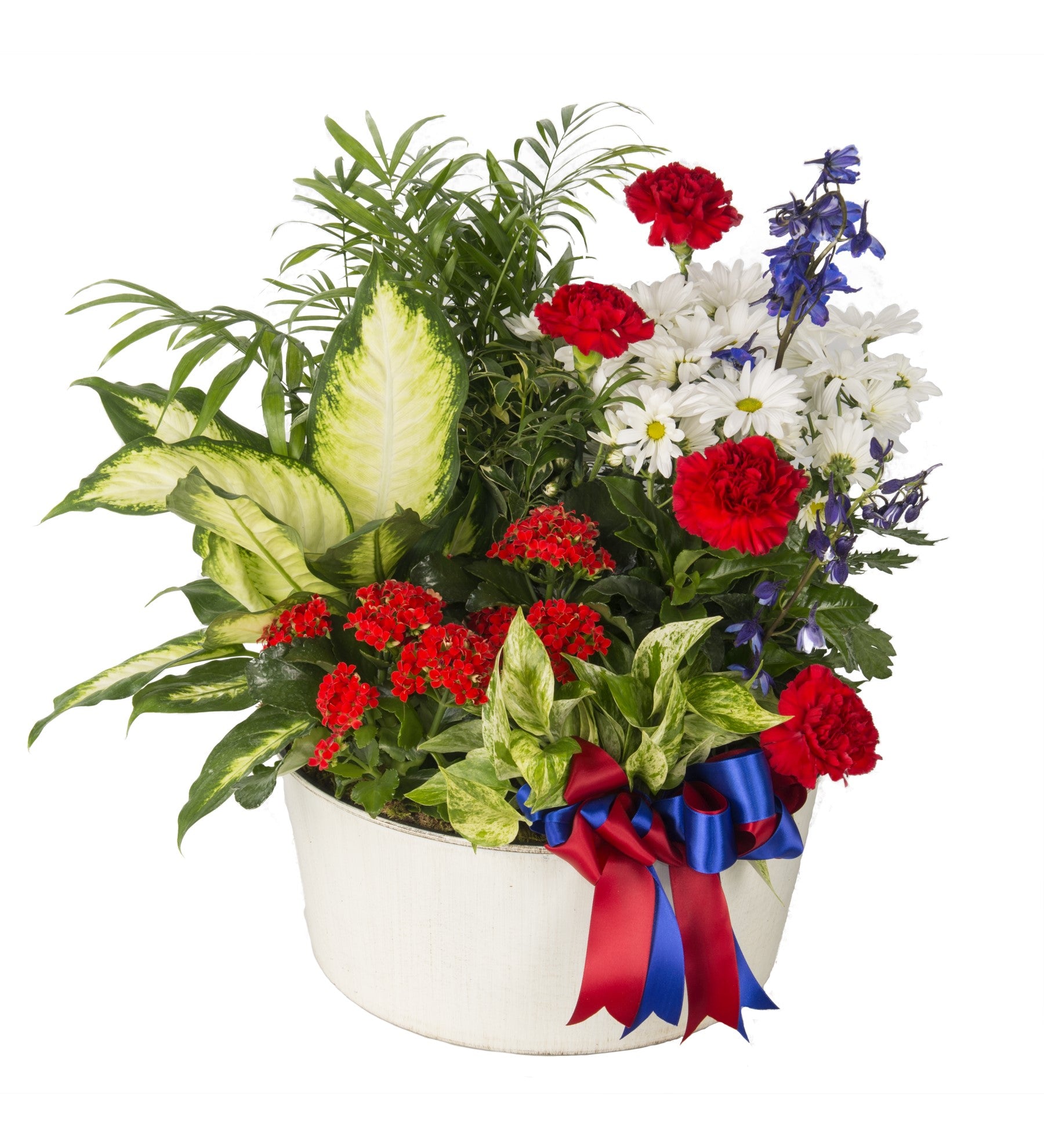 Patriotic Garden - Bartz Viviano