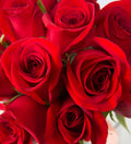 Dozen Premium Roses Vased with Accent Flower - Bartz Viviano