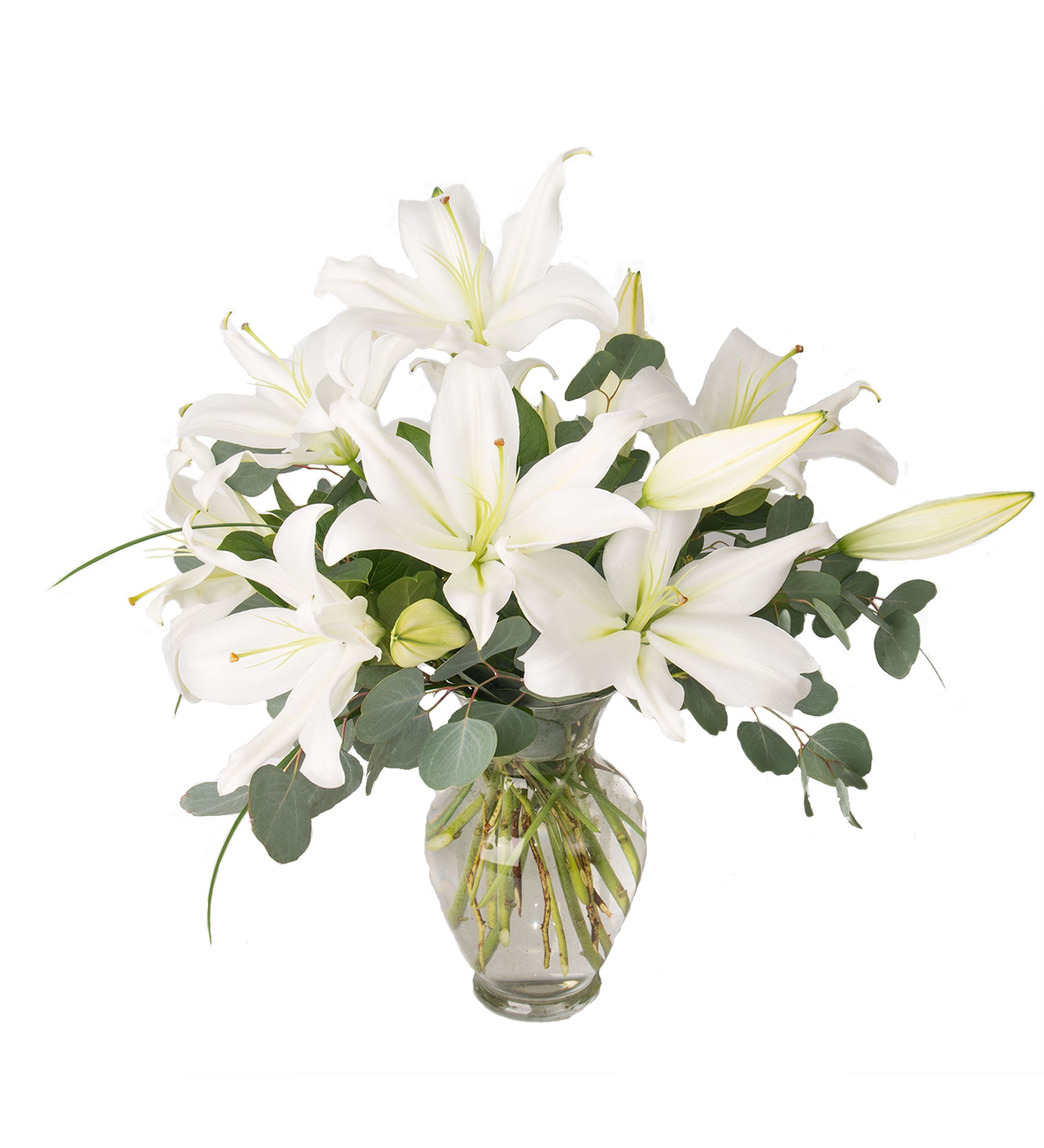 Serenity Lily Vase - Bartz Viviano