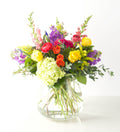 Spring in Bloom - Bartz Viviano