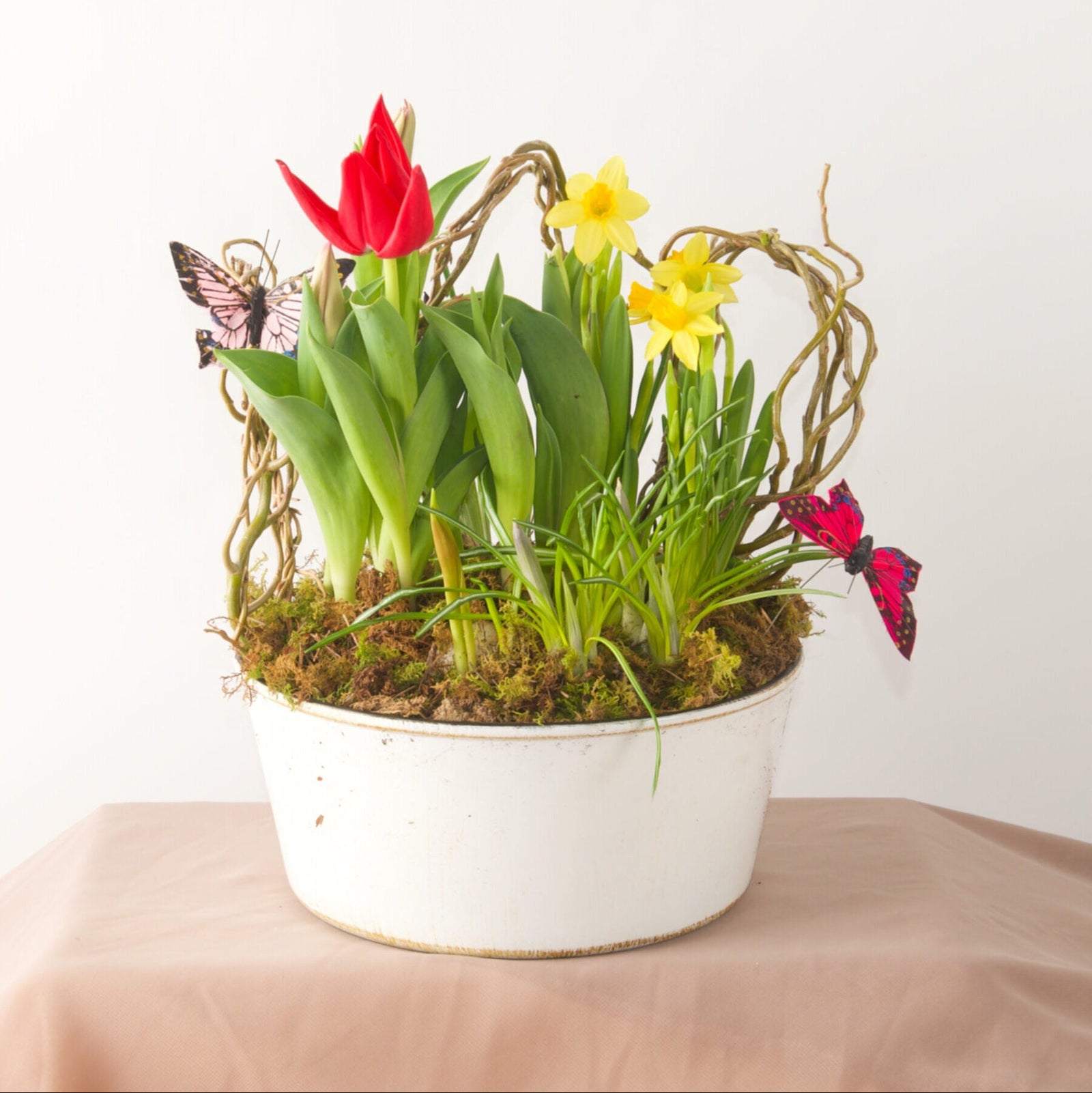 Spring Bulb Garden - Bartz Viviano