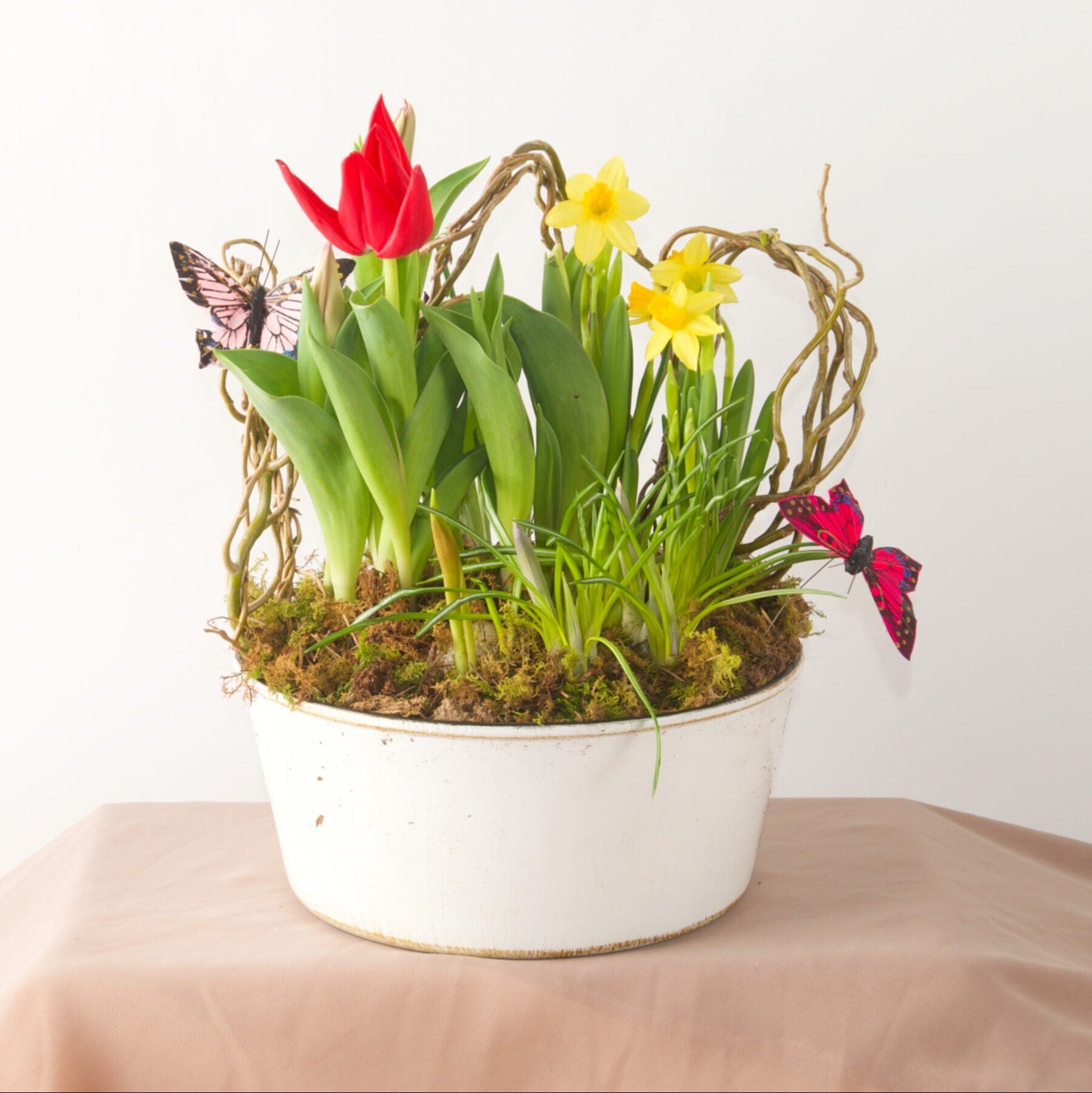 Spring Bulb Garden - Bartz Viviano
