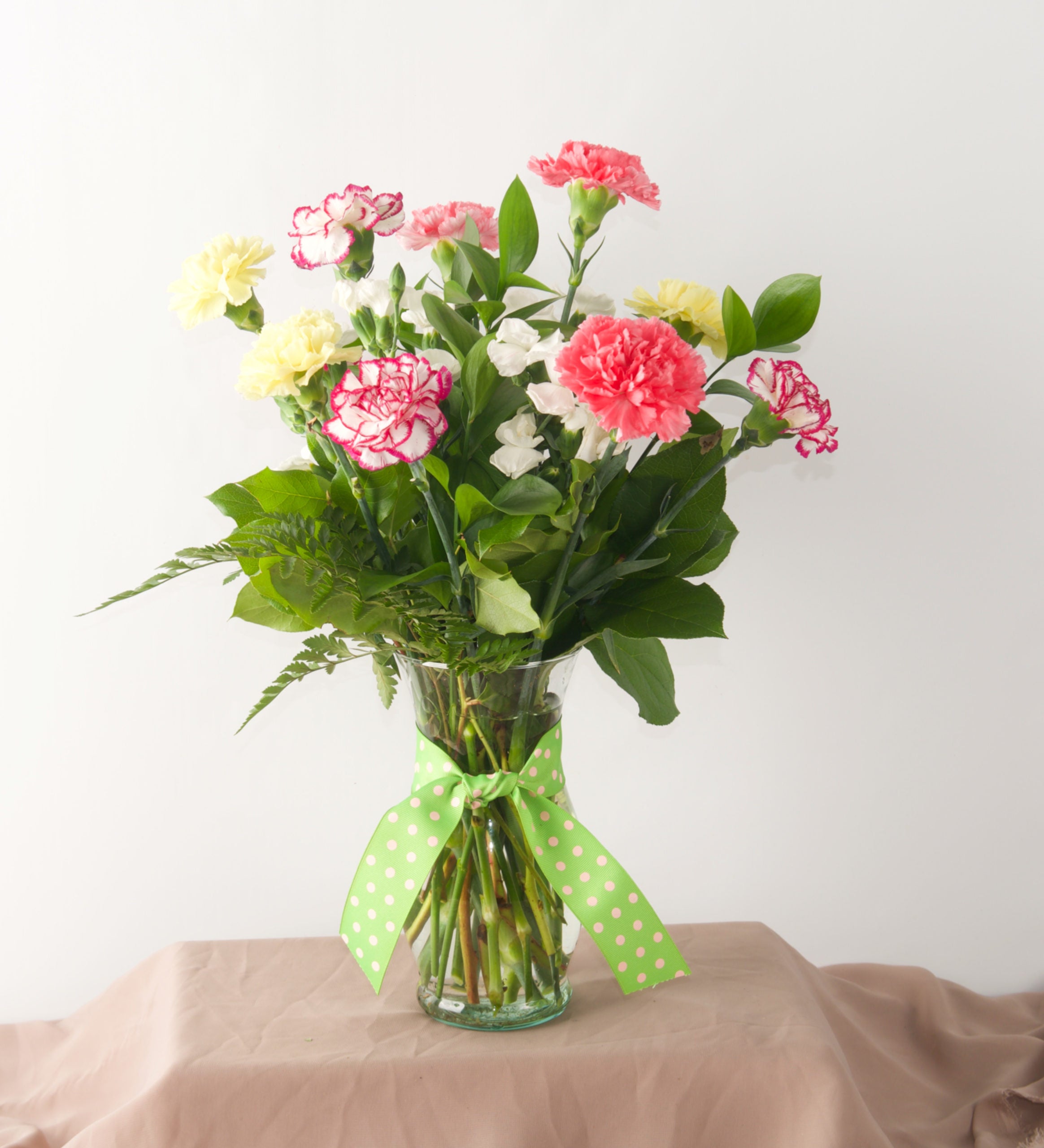 Spring Carnations - Bartz Viviano