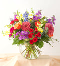 Summer Sensation - Bartz Viviano