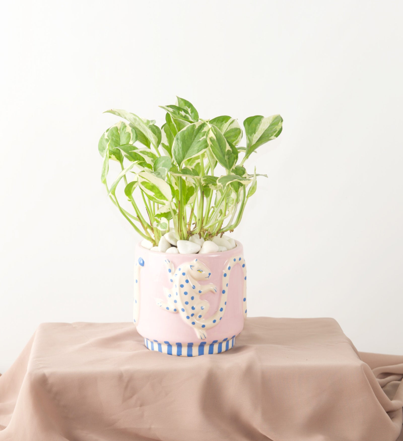 Jane - Bartz Viviano