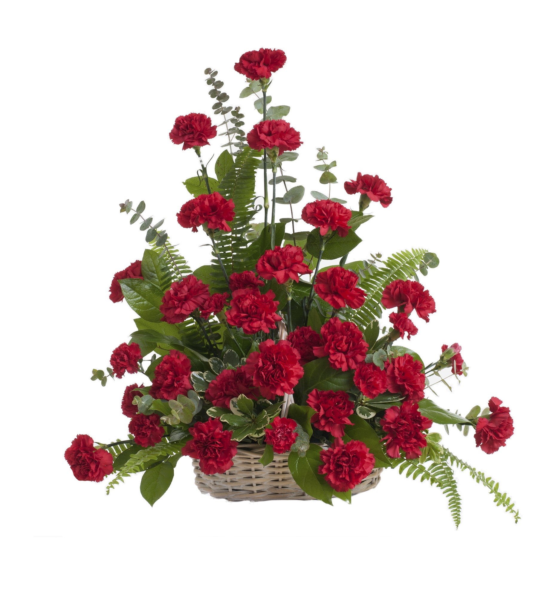 Traditional Carnation Basket Arrangement - Bartz Viviano