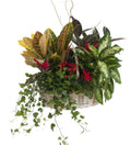 Traditional Cardinal Planter Basket - Bartz Viviano