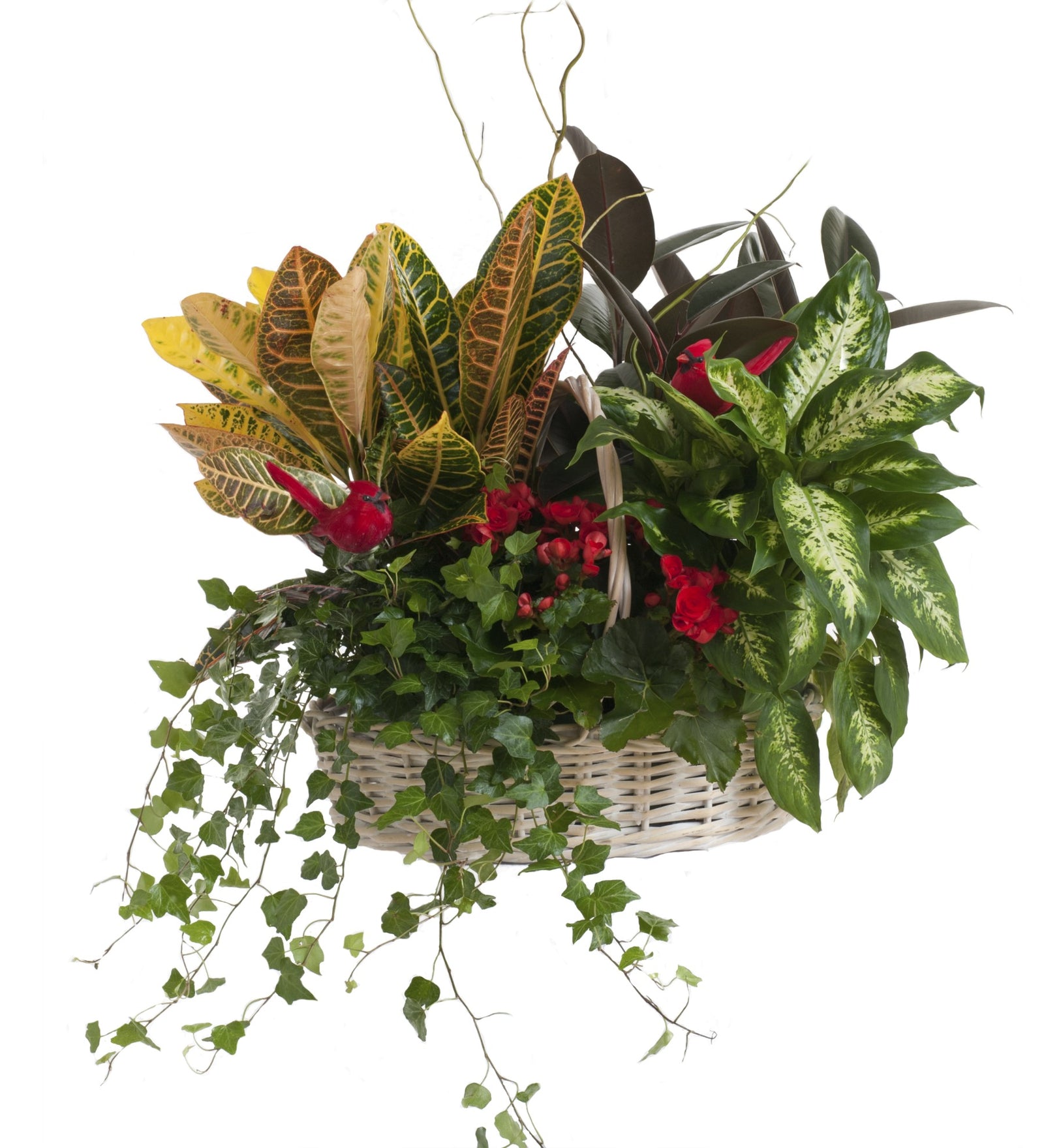 Traditional Cardinal Planter Basket - Bartz Viviano