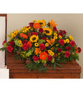 Tuscan Casket Spray - Bartz Viviano