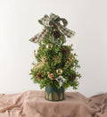 Boxwood Tree - Bartz Viviano