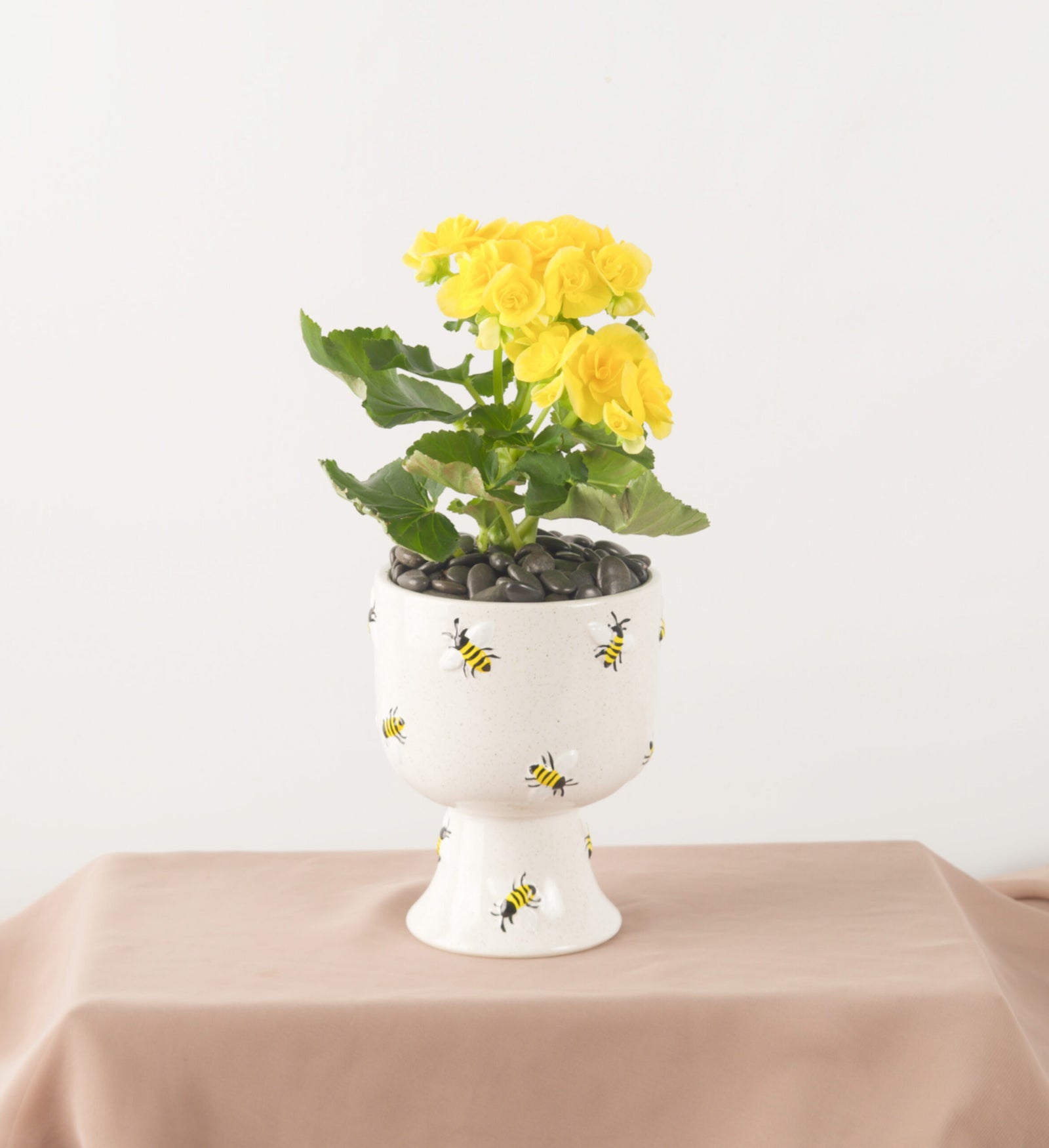 Busy Bee - Bartz Viviano
