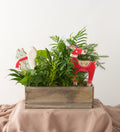 Cozy Critters - Bartz Viviano