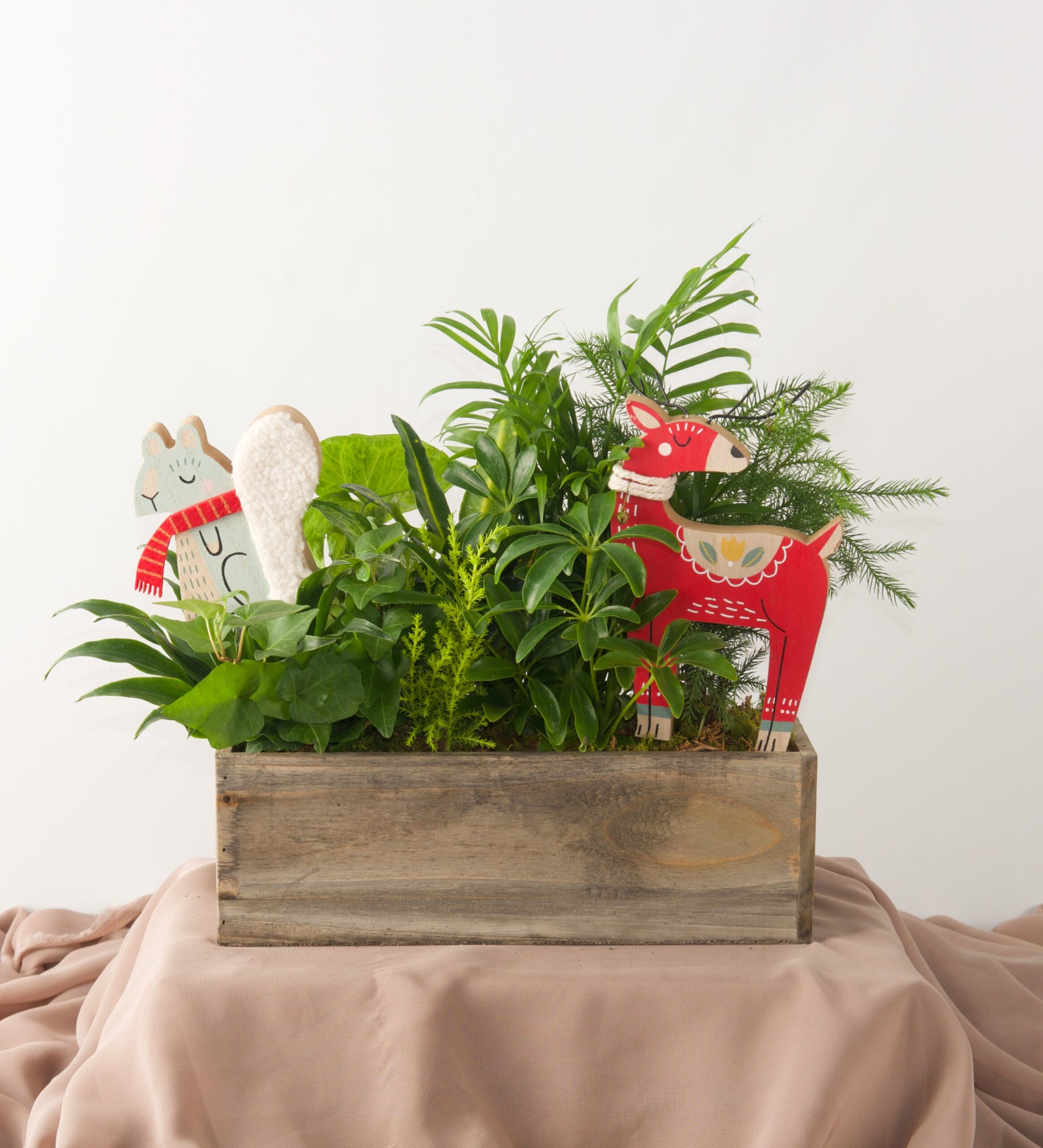 Cozy Critters - Bartz Viviano