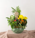 Daisy Garden - Bartz Viviano