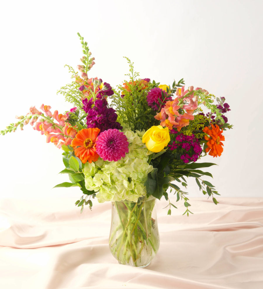 Designer's Choice - Classic - Bartz Viviano