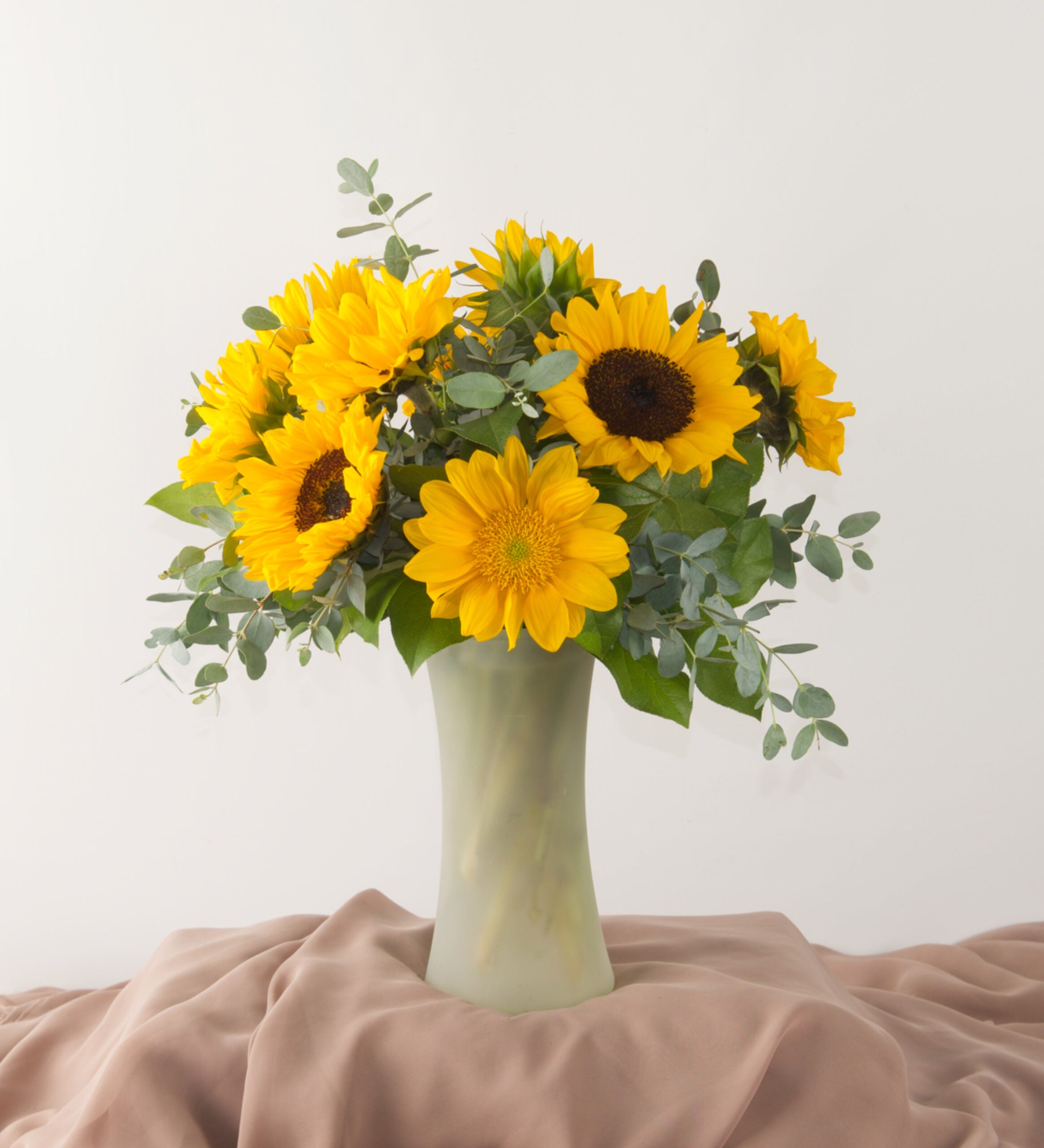Dorothy - Bartz Viviano
