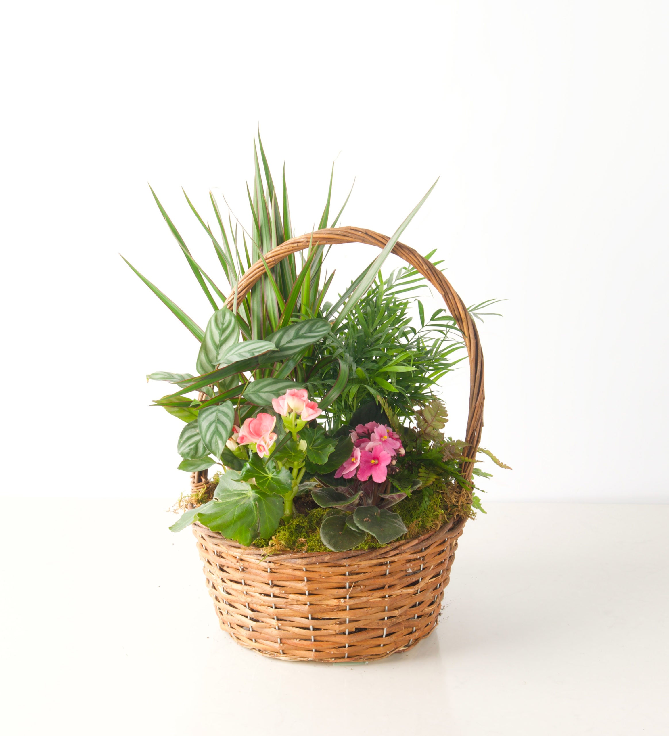 EUROPEAN GARDEN - Bartz Viviano
