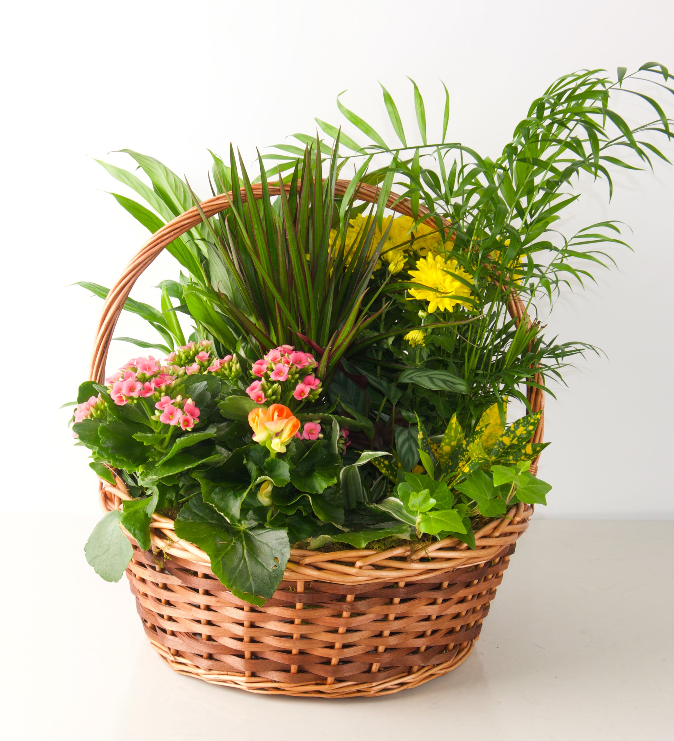 EUROPEAN GARDEN - Bartz Viviano
