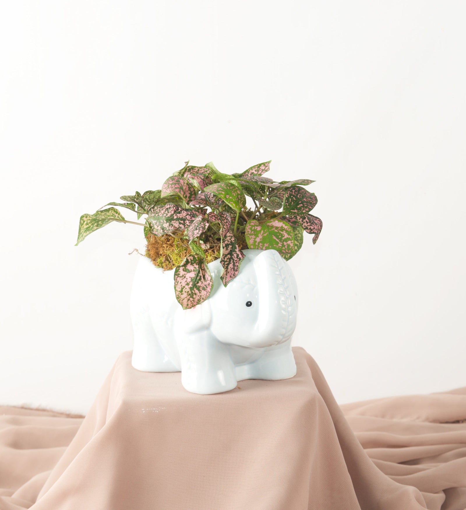Ellie Elephant - Bartz Viviano