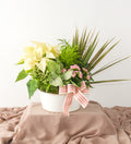 Eloise - Bartz Viviano