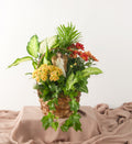 Harvest Angel Garden - Bartz Viviano