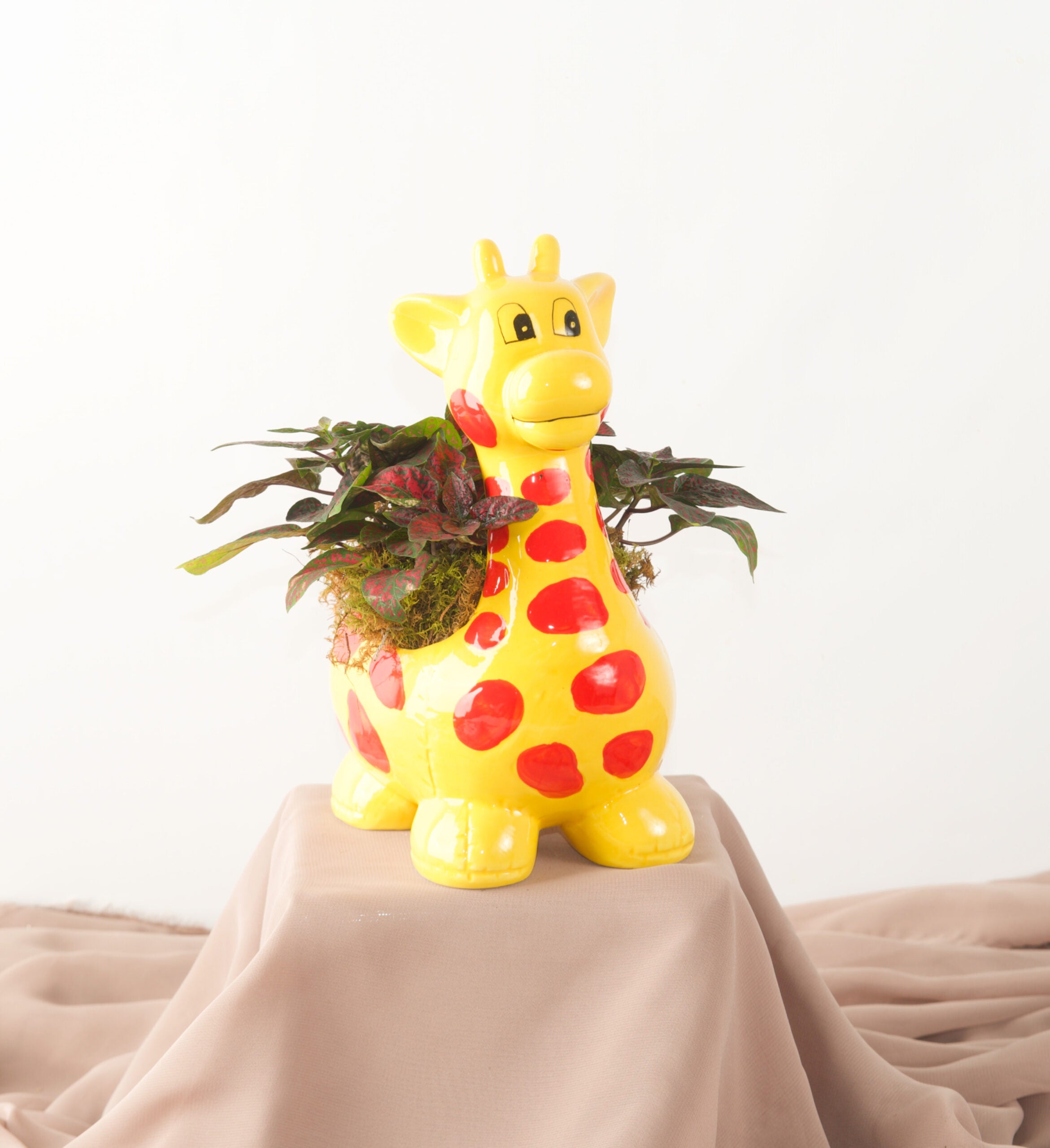 George Giraffe - Bartz Viviano