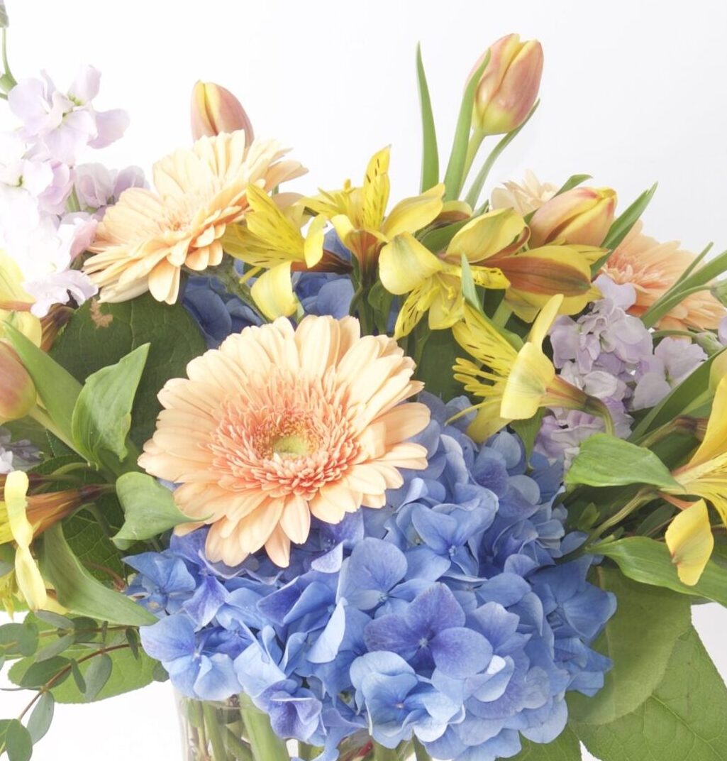 Designer's Choice - Seasonal Mix - Bartz Viviano