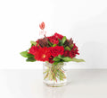 Ruby - July Birthstone Arrangement - Bartz Viviano