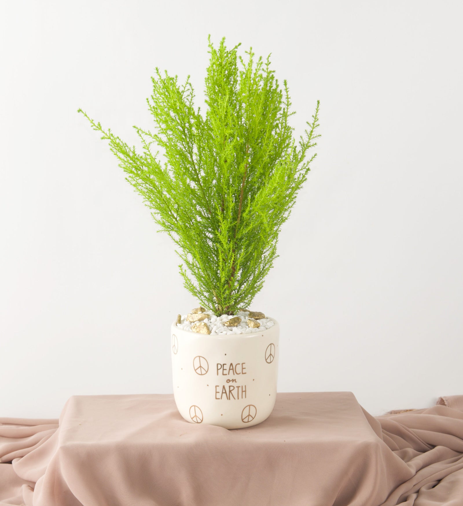 Peace on Earth - Bartz Viviano