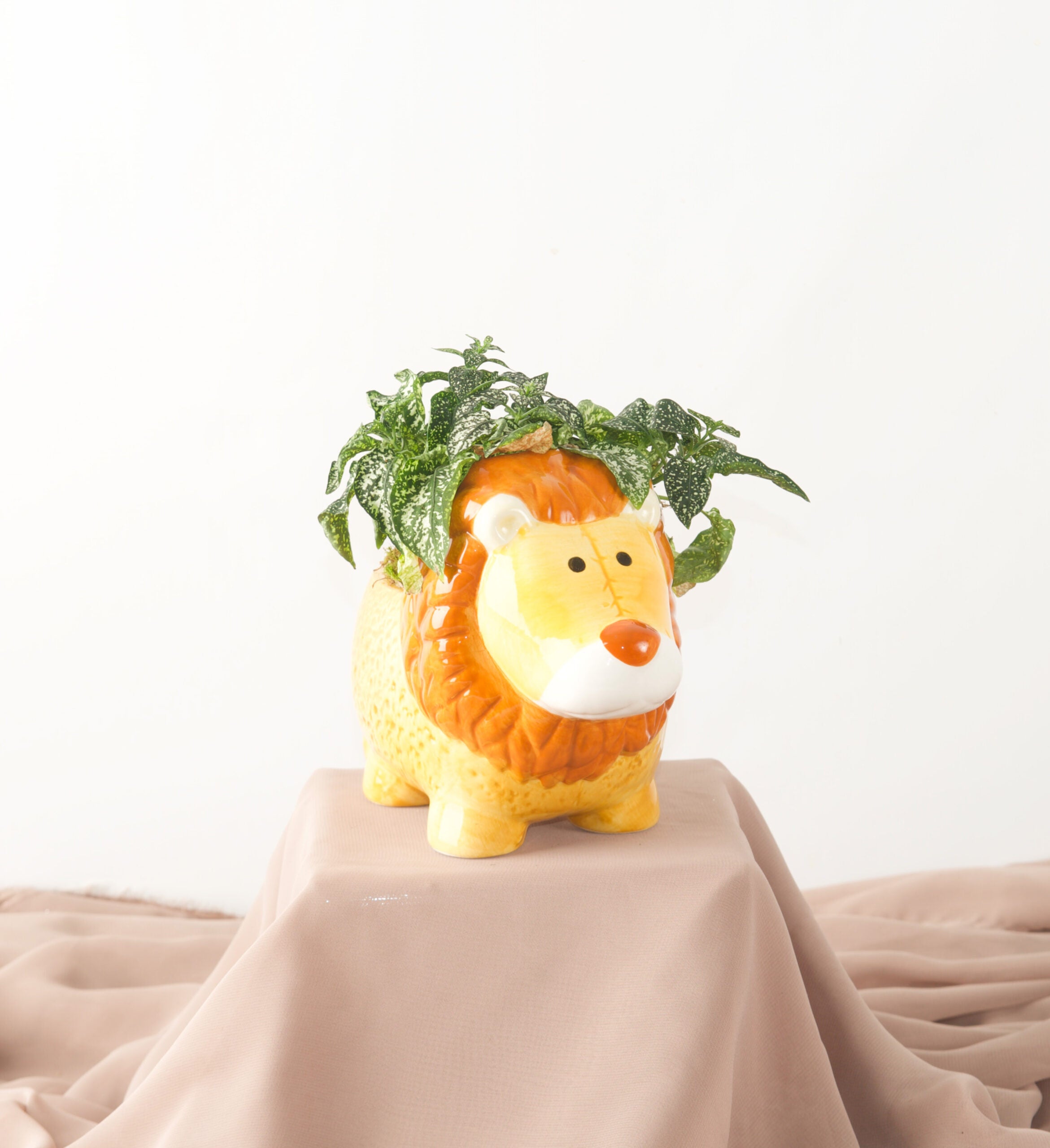 Leo Lion - Bartz Viviano