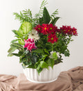 Luxe European Garden - Bartz Viviano
