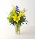 Go Blue! - Bartz Viviano