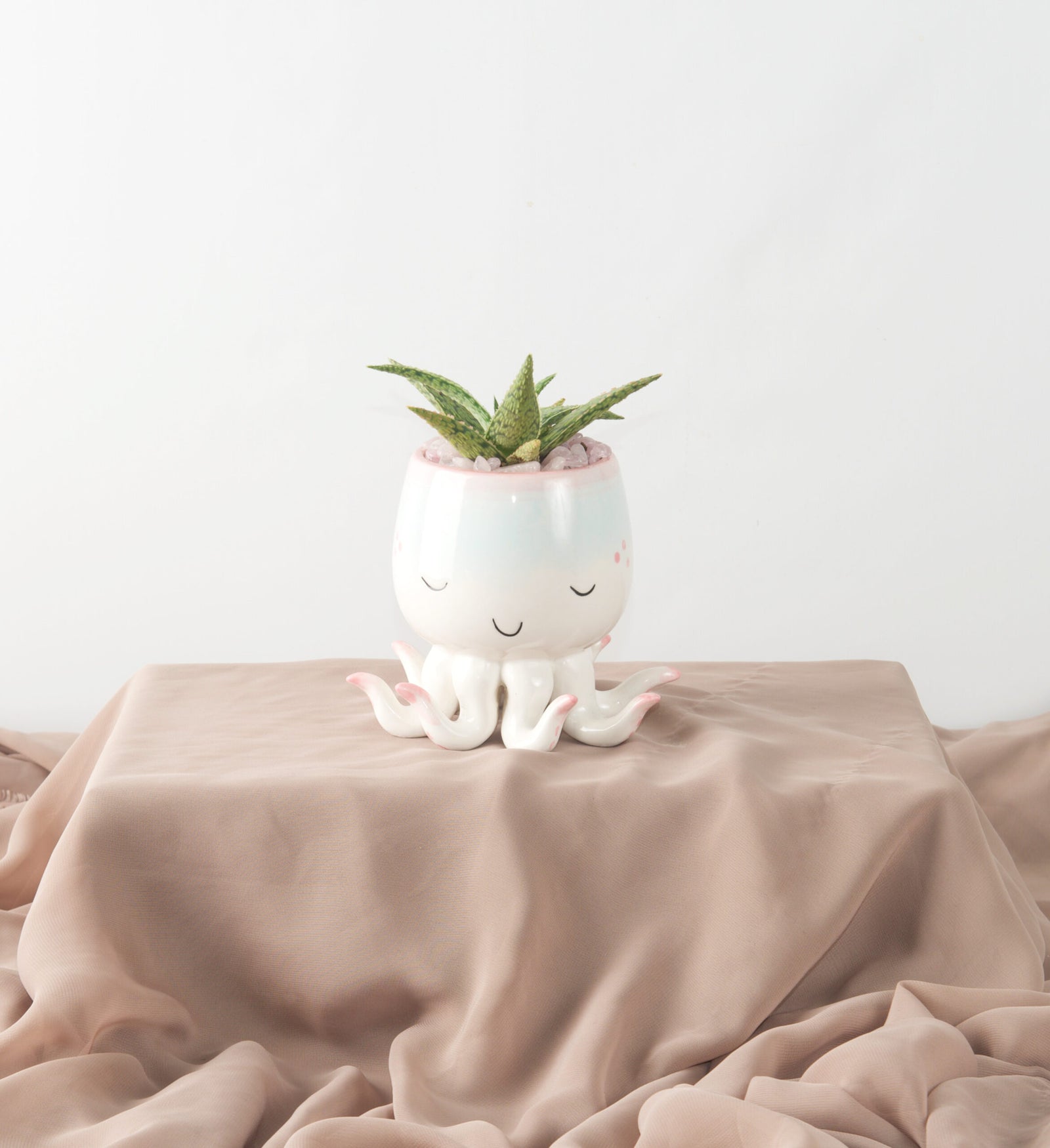 Open Arms Succulent - Bartz Viviano