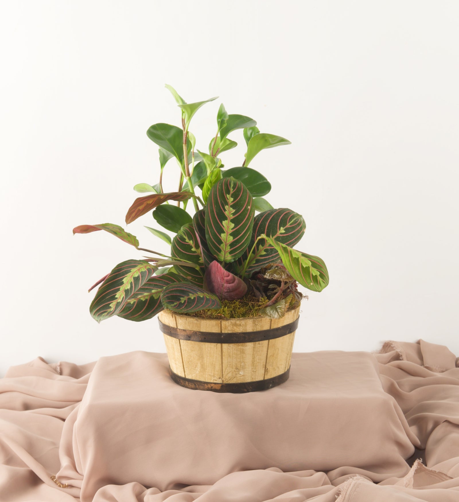 Pet Friendly Planter