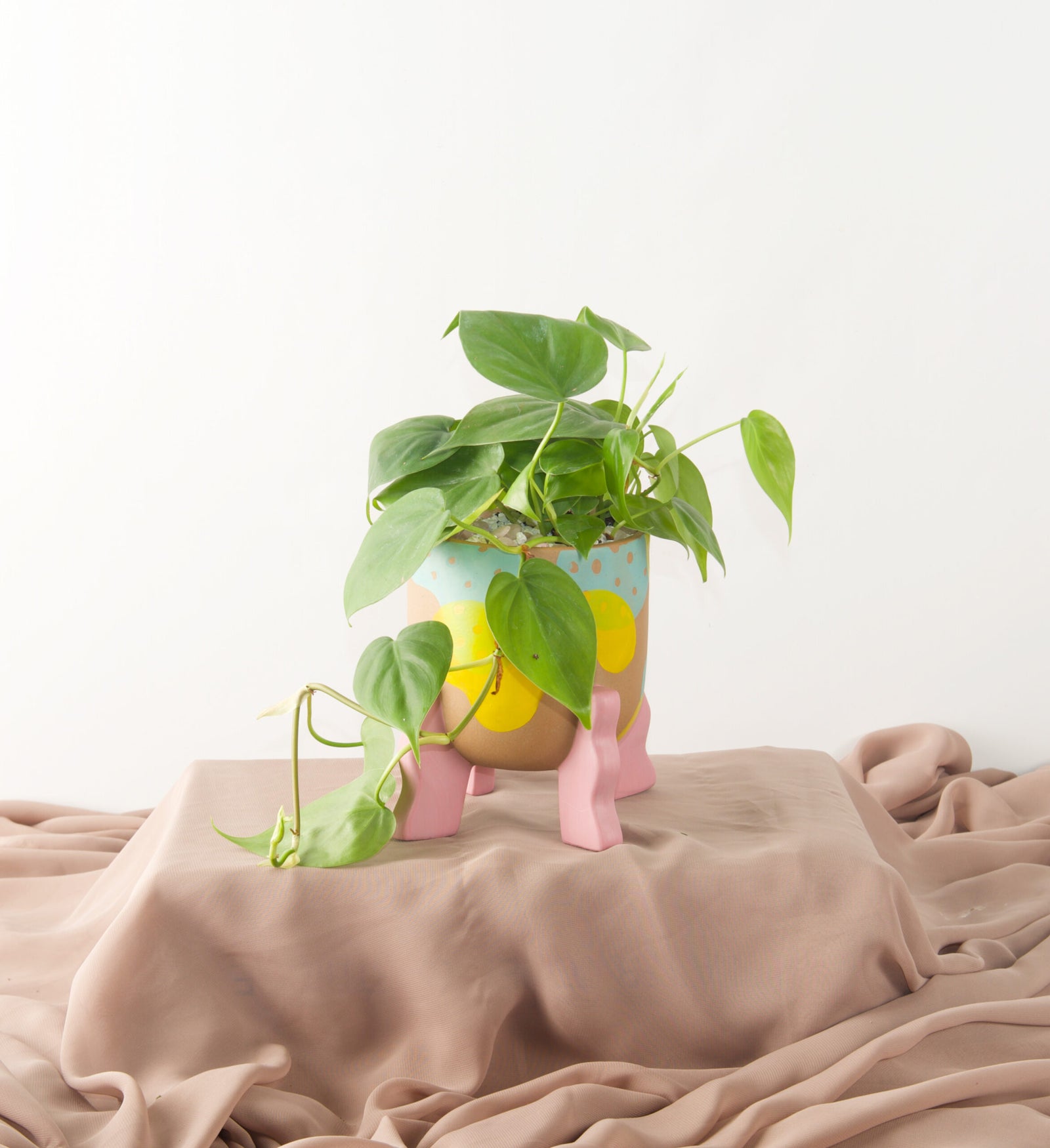 Clementine - Bartz Viviano