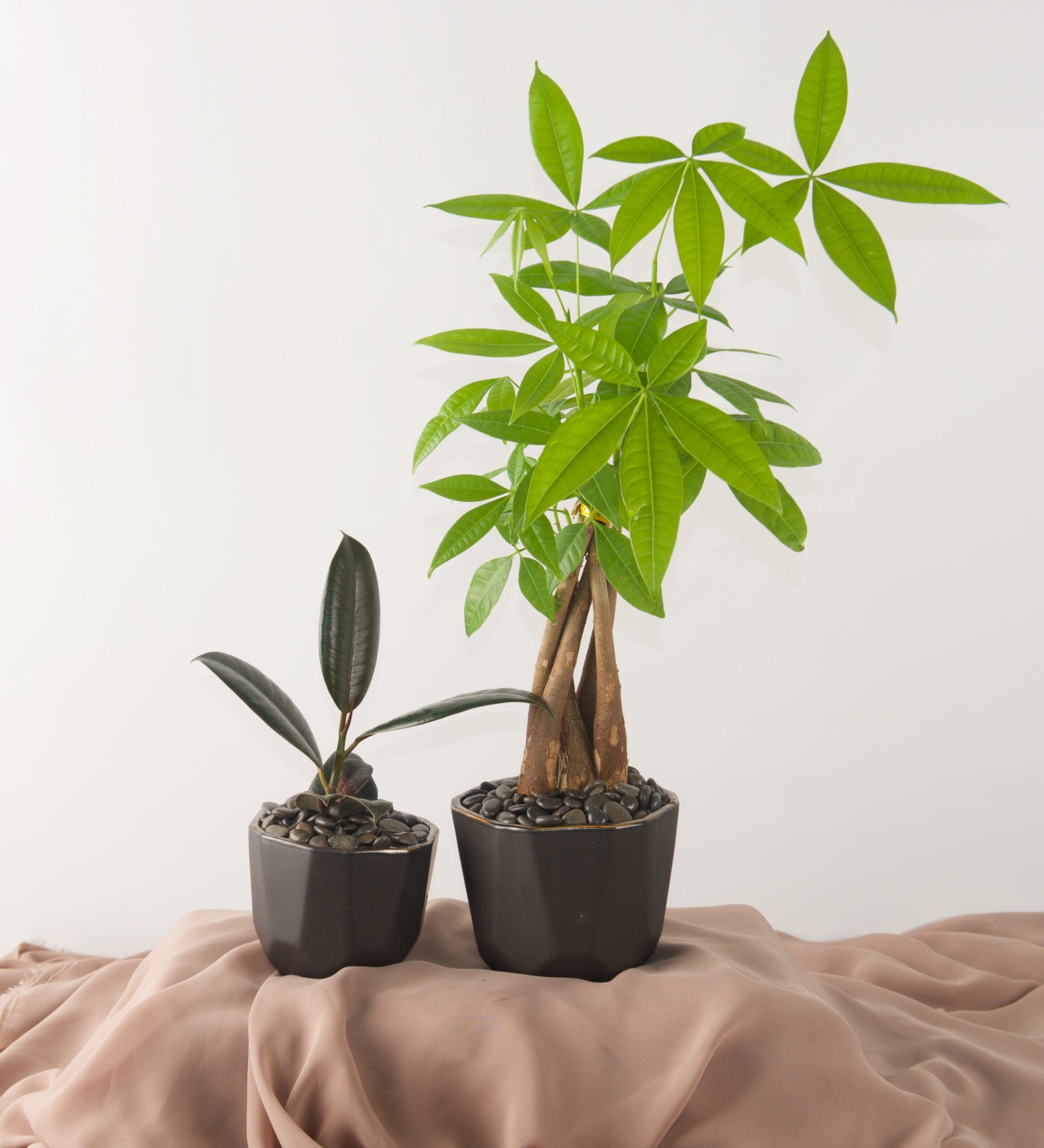 New Office Duo - Bartz Viviano