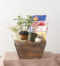Plant Lovers Box - Bartz Viviano