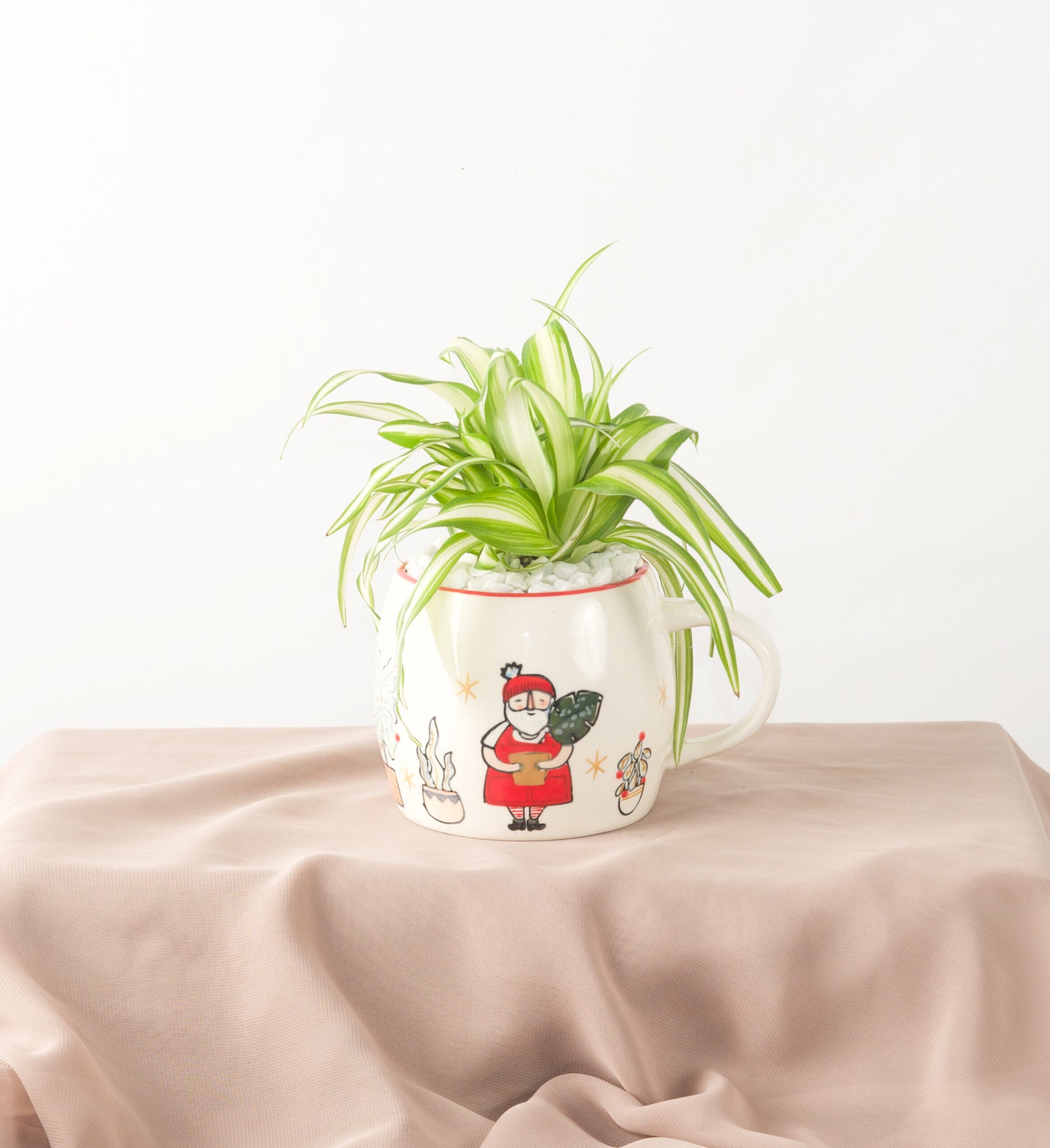 Plant Santa Mug - Bartz Viviano